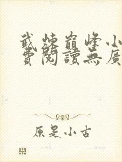 武炼巅峰小说免费阅读无广告