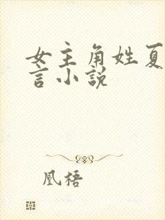 女主角姓夏的现言小说