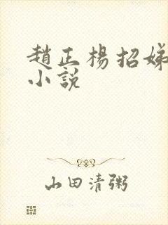 赵正杨招娣穿越小说