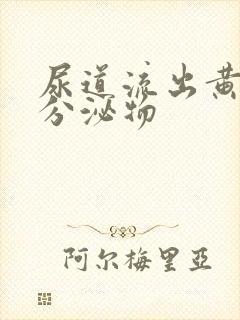 尿道流出黄脓状分泌物