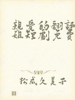 亲爱的翻译官小姐短剧免费观看高清版封面