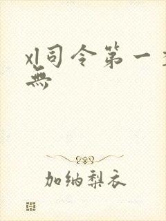 xl司令第一季无