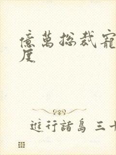 亿万总裁宠妻无度