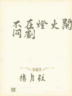 不在灯火阑珊处网剧封面