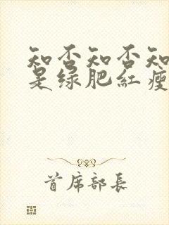 知否知否知否应是绿肥红瘦明兰出嫁封面