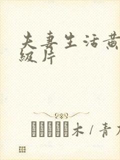 夫妻生活黄色一级片