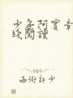 少年阿宾章节在线阅读