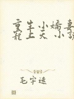 重生小娇妻大佬宠上天 小说封面