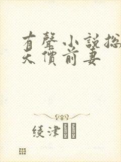 有声小说总裁的天价前妻