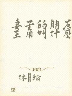 妻子的朋友的女主角叫什么