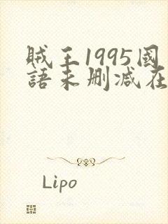 贼王1995国语未删减在线播放封面