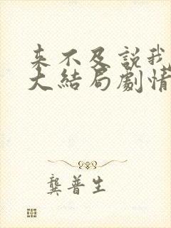 来不及说我爱你大结局剧情介绍