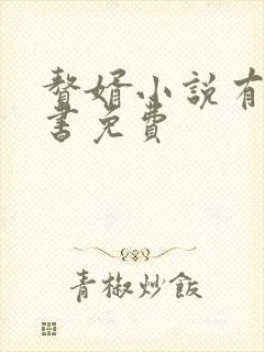 赘婿小说有声听书免费