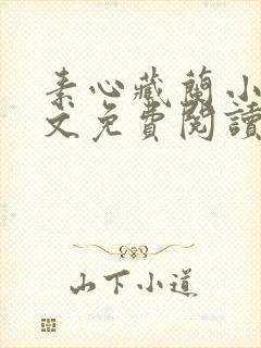 素心藏兰小说全文免费阅读最新章节封面