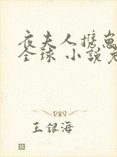 夜夫人携崽惊艳全球 小说免费阅读封面