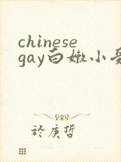 chinesegay白嫩小受