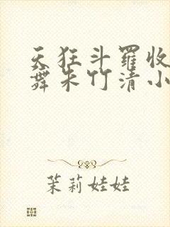天狂斗罗收服小舞朱竹清小说封面