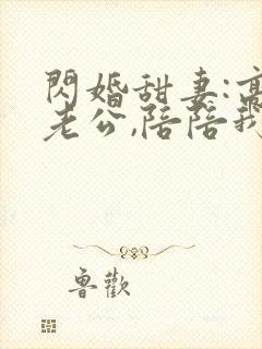 闪婚甜妻:高冷老公,陪陪我封面