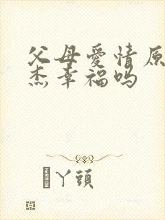 父母爱情原著安杰幸福吗封面