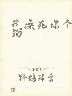 我操死你个骚母狗封面
