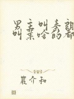 男主叫秦朗女主叫叶啥的都市小说