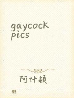 gaycockpics