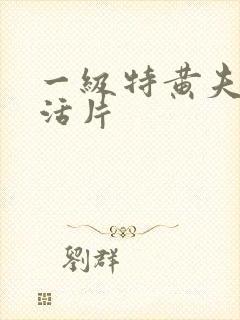 一级特黄夫妻生活片封面