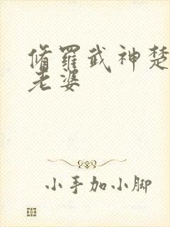 修罗武神楚枫的老婆