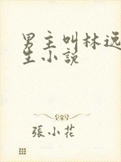 男主叫林逸的重生小说