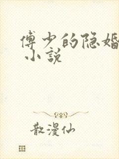 傅少的隐婚甜妻 小说