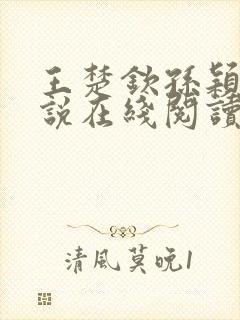 王楚钦孙颖莎小说在线阅读