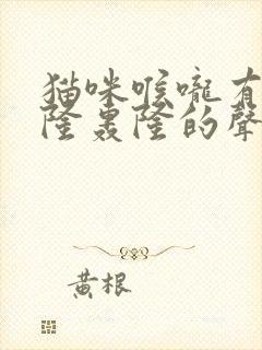 猫咪喉咙有痰轰隆轰隆的声音