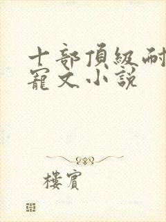 十部顶级耐看甜宠文小说