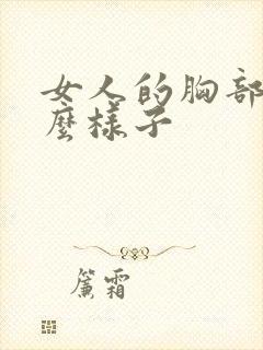 女人的胸部长什么样子