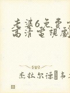 老婆6免费完整高清电视剧看