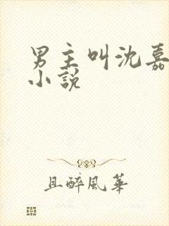 男主叫沈嘉树的小说