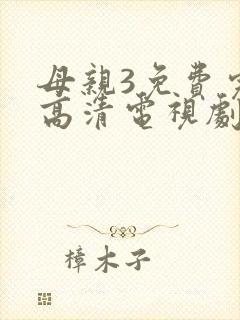 母亲3免费完整高清电视剧在线封面