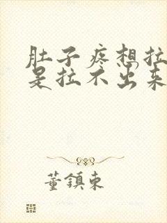 肚子疼想拉屎但是拉不出来是怎么回事