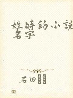 姓时的小说女主名字封面