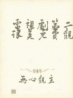 电视剧第二次也很美免费观看全集