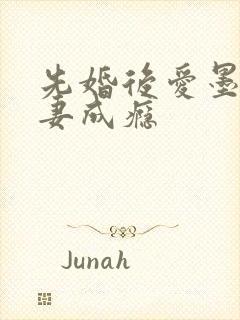 先婚后爱墨少宠妻成瘾