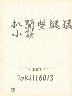 扒开双腿猛插入小说