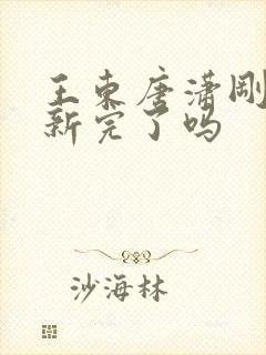 王东唐潇刚刚更新完了吗