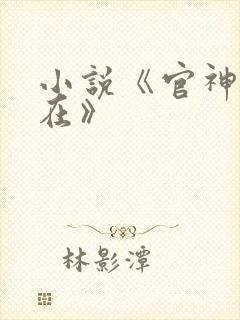 小说《官神何常在》