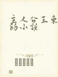 主人公王东唐潇的小说