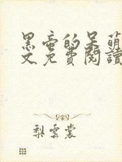 黑帝的呆萌妻全文免费阅读无弹窗封面