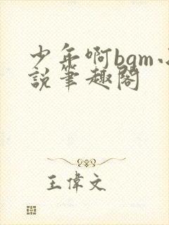 少年啊bgm小说笔趣阁封面