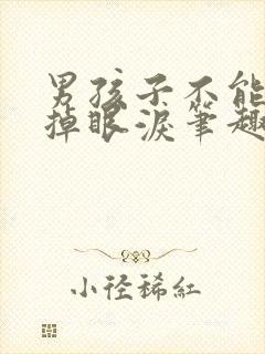 男孩子不能轻易掉眼泪笔趣阁