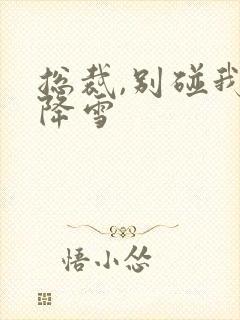 总裁,别碰我韩降雪