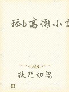 舔b高潮小说
